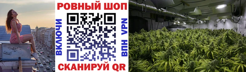 Купить Балей Бошки Шишки A PVP Псилоцибиновые грибы COCAIN Гашиш