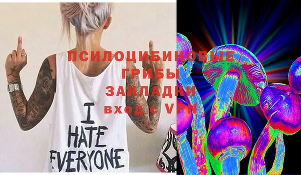 амф Зерноград