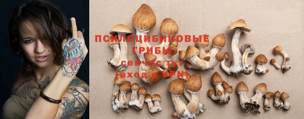 меф Армянск