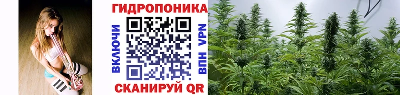 Шишки марихуана MAZAR  Балей 